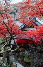 91制片厂果冻传媒在线-91制片厂与果冻传媒，在线影视的多元视角与内容创新