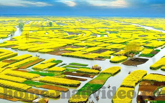 糖心app兑换码ios-糖心app兑换码ios，引导你发现更多美好瞬间